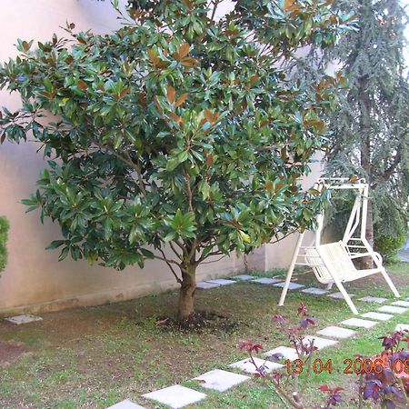 Hotel Trieste Senigallia Bagian luar foto