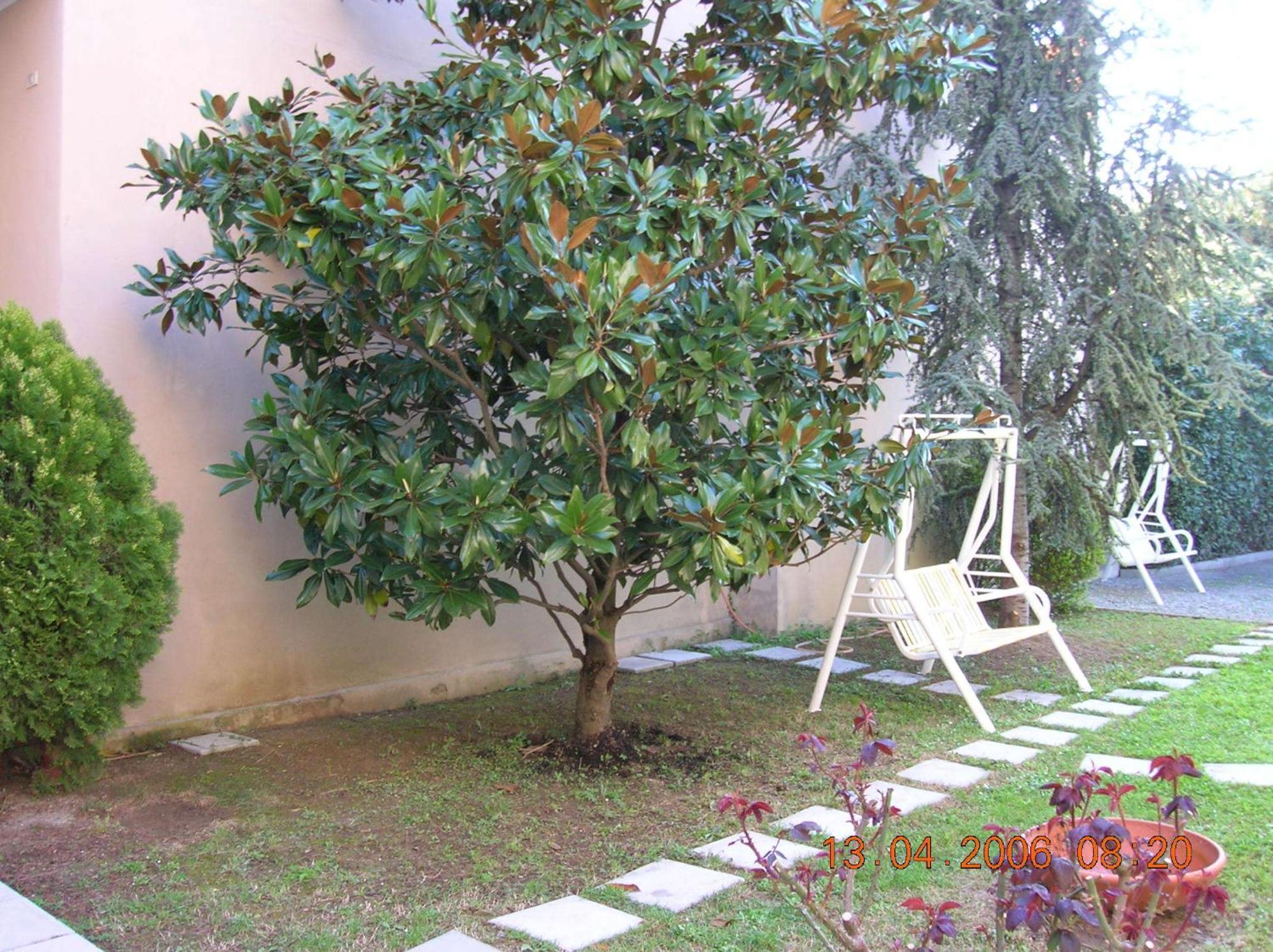 Hotel Trieste Senigallia Bagian luar foto